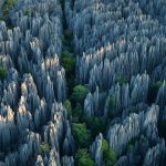 Ớn lạnh khu rừng đá sắc như lưỡi dao – nơi hiểm trở bậc nhất thế giới Ớn lạnh khu rừng đá sắc như lưỡi dao – nơi hiểm trở bậc nhất thế giới - 1