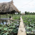 Nỗi buồn của ông chủ vườn hoa Sài Gòn thu nhập trăm triệu mỗi năm Nỗi buồn của ông chủ vườn hoa Sài Gòn thu nhập trăm triệu mỗi năm