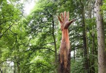 Bàn tay khổng lồ giữa khu rừng xứ Wales Ban tay khong lo cua Vyrnwy anh 1