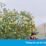 Những địa điểm bỏ hoang ở Đà Lạt hút giới trẻ