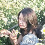 Giới trẻ check-in cúc họa mi đầu mùa check-in cuc hoa mi dau mua anh 1