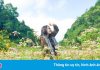 Khám phá Hà Giang mùa tam giác mạch chỉ 1,3 triệu đồng/người