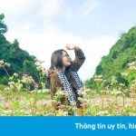 Khám phá Hà Giang mùa tam giác mạch chỉ 1,3 triệu đồng/người