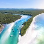 Tảo phát quang khiến bãi biển rực sáng vào ban đêm Tảo phát quang khiến bãi biển rực sáng vào ban đêm - 1