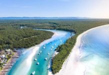 Tảo phát quang khiến bãi biển rực sáng vào ban đêm Tảo phát quang khiến bãi biển rực sáng vào ban đêm - 1