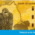 Những loại tiền giấy đẹp của các nước