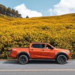 Ngọn đồi phủ kín hoa dã quỳ ở Thái Lan doi hoa da quy anh 1