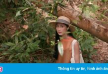 Phú Quốc hứa hẹn trở thành thiên đường du lịch