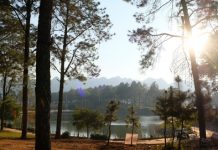 Xin đừng tụng ca lời có cánh, thiếu phản biện khi hiến kế du lịch Xin đừng tụng ca lời có cánh, thiếu phản biện khi hiến kế du lịch - Ảnh 1.