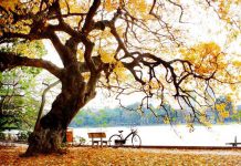 Việt Nam ngoạn mục giành giải ‘Oscar du lịch’ Việt Nam ngoạn mục giành giải Oscar du lịch - Ảnh 1.