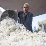 Ngôi làng được mệnh danh là xứ sở nước hoa