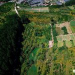 Dã quỳ phủ vàng sườn đồi ngoại thành Đà Lạt Dã quỳ phủ vàng sườn đồi ngoại thành Đà Lạt - Ảnh 1.