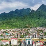 Có nhúm trà cổ thụ đợi ta uống vào mùa trăng kế tiếp ở Hà Giang… Có nhúm trà cổ thụ đợi ta uống vào mùa trăng kế tiếp ở Hà Giang... - Ảnh 1.