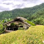 Hà Giang có những mái nhà đặc sắc Hà Giang có những mái nhà đặc sắc - Ảnh 1.