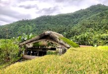 Hà Giang có những mái nhà đặc sắc Hà Giang có những mái nhà đặc sắc - Ảnh 1.