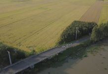 “Mekong Delta Marathon” Hậu Giang 2020: “Mỗi vận động viên chạy-1 cây xanh được trồng, mỗi bước chạy-một tấm lòng được sẻ chia về miền Trung” “Mekong Delta Marathon” Hậu Giang 2020: “Mỗi vận động viên chạy-1 cây xanh được trồng, mỗi bước chạy-một tấm lòng được sẻ chia về miền Trung”