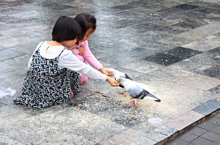 Người dân Sài Gòn đội mưa, đưa con đến nhà thờ cho bồ câu ăn
