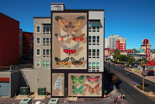 Kỳ ảo “bươm bướm” siêu thực xếp kín các tòa nhà - Ảnh 3.
