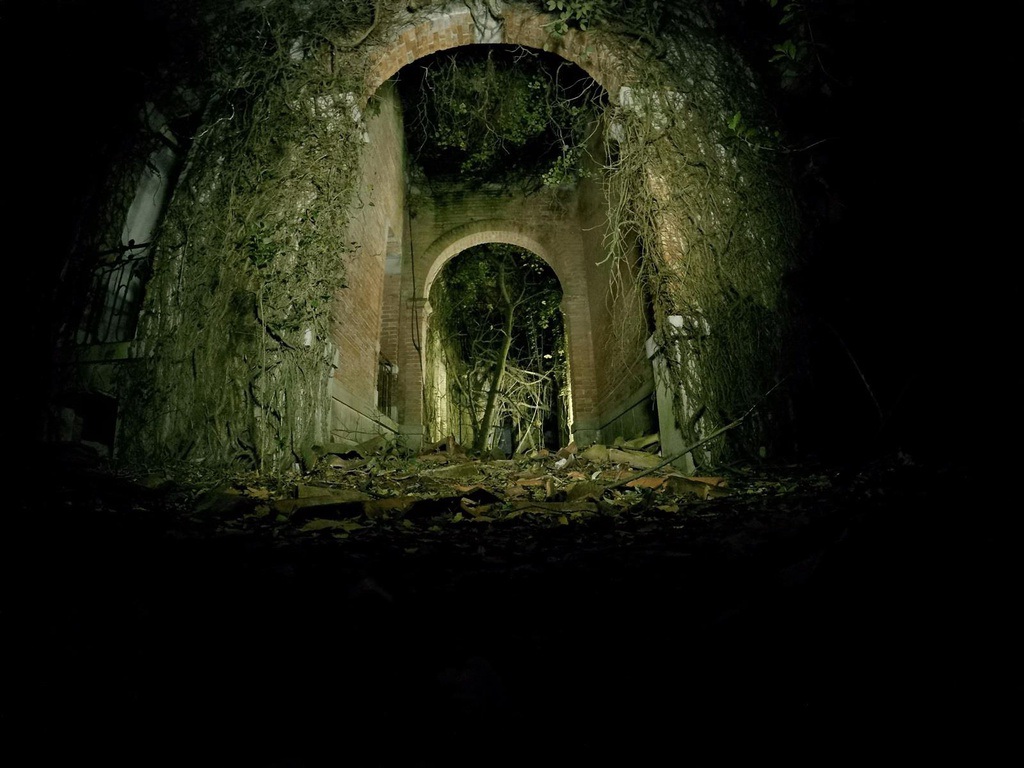 Ớn lạnh khám phá đảo “ma ám” bị bỏ hoang hàng thập kỷ ở Italia - 2