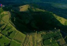 Biển hồ chè Pleiku – Sắc xanh đầy sức sống Biển hồ chè Pleiku - Sắc xanh đầy sức sống - Ảnh 1.