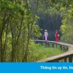 Làng nổi Tân Lập nằm ở tỉnh nào?