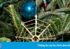 Tập tục dùng mạng nhện để trang trí cây thông Noel