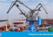 Chuẩn bị phương án nối lại thương mại với nước đã áp dụng vaccine