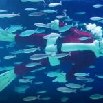 Ông già Noel bơi lội trong thủy cung ở Nhật Bản