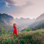 Cao nguyên đá Đồng Văn rực rỡ sắc hoa tam giác mạch Cao nguyên đá Đồng Văn rực rỡ sắc hoa tam giác mạch - Ảnh 1.