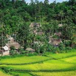 Jungle Lodge Pù Luông – “Thiên đường xanh” cách biệt phố thị ồn ào, đông đúc du lịch pù luông