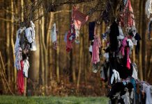 Treo khẩu trang lên cây, kiểu cầu nguyện mới thời COVID-19 Treo khẩu trang lên cây, kiểu cầu nguyện mới thời COVID-19 - Ảnh 1.