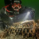 Phát hiện máy mật thư “Enigma” quý hiếm từ Thế Chiến II Phát hiện máy mật thư “Enigma” quý hiếm từ Thế Chiến II - Ảnh 1.