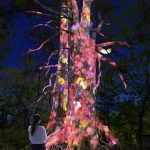 Lạc lối trong ánh sáng huyền ảo tại vườn cổ đẹp bậc nhất Nhật Bản Lạc lối trong ánh sáng huyền ảo tại vườn cổ đẹp bậc nhất Nhật Bản - Ảnh 1.