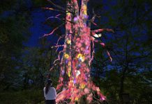 Lạc lối trong ánh sáng huyền ảo tại vườn cổ đẹp bậc nhất Nhật Bản Lạc lối trong ánh sáng huyền ảo tại vườn cổ đẹp bậc nhất Nhật Bản - Ảnh 1.