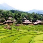 Thanh Hóa thúc đẩy du lịch an toàn thời COVID-19 Thanh Hóa thúc đẩy du lịch an toàn thời COVID-19 - Ảnh 1.