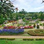 Lịch trình du lịch Đà Lạt 3 ngày 2 đêm – Thưởng thức trọn vẹn thành phố mộng mơ lịch trình du lịch đà lạt 3 ngày 2 đêm