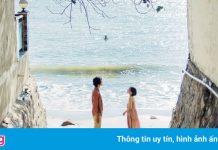 Có nên đi du lịch Vũng Tàu dịp Tết Dương lịch?