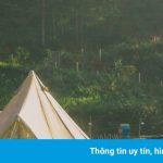 Các điểm cắm trại tiện nghi hút giới trẻ ở Đà Lạt