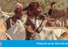 Những người xin bị đánh để chứng tỏ tình yêu