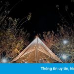 3 điểm cắm trại cho hội xê dịch đón năm mới