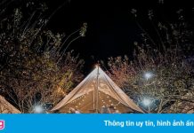 3 điểm cắm trại cho hội xê dịch đón năm mới