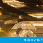 Trại Mát có gì chơi?