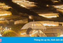 Trại Mát có gì chơi?