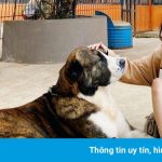 Người Việt thích du lịch TP.HCM, Đà Lạt dịp cuối năm