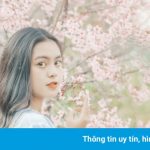 Đà Lạt đẹp mơ màng trong những ngày mai anh đào nở
