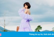 Vườn hoa oải hương mới xuất hiện ở Đà Lạt