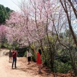 Kích cầu, khuyến mãi sâu, du lịch nhiều nơi phục hồi mạnh Kích cầu, khuyến mãi sâu, du lịch nhiều nơi phục hồi mạnh - Ảnh 1.