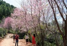 Kích cầu, khuyến mãi sâu, du lịch nhiều nơi phục hồi mạnh Kích cầu, khuyến mãi sâu, du lịch nhiều nơi phục hồi mạnh - Ảnh 1.