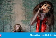 Loạt ảnh động vật ấn tượng của năm 2020