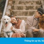 Đôi uyên ương chụp ảnh cưới cùng cún cưng ở Đà Lạt